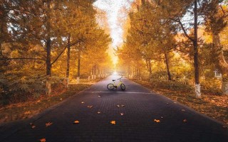 沈阳求姻缘去哪 沈阳求姻缘去哪个寺庙最灵验？