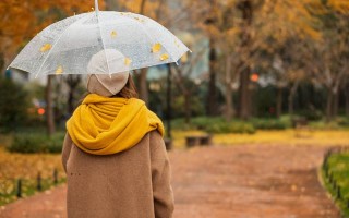 生辰八字姻缘免费 算姻缘免费 生辰八字？