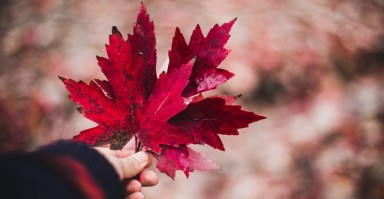 如何从手相看姻缘 如何从手相看姻缘好不好？